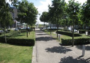 Scheldepark