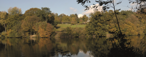 Sint-Genesius-Rode Belgium Park