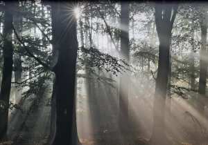 Schoten Belgium Park
