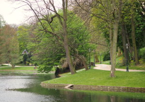 Saint-Josse-ten-Noode Belgium Park