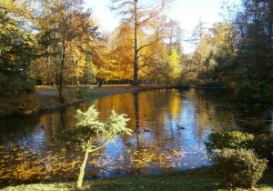 Morlanwelz-Mariemont Belgium Park