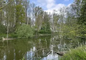 Flanders Belgium Nature Reserve