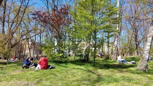 Wallonia Belgium Park