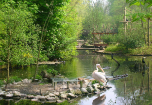 Parc Zoologique de Lille