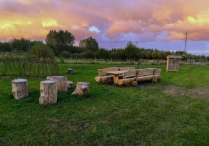 Flanders Belgium Nature Reserve