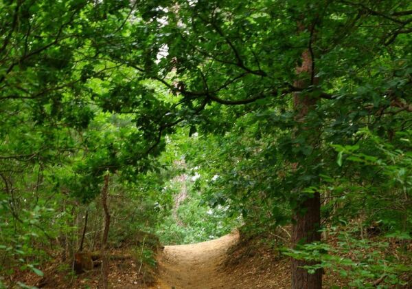 Hoge Mouw Nature Reserve