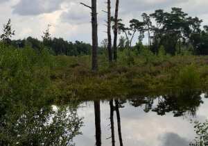 De Liereman Nature Reserve