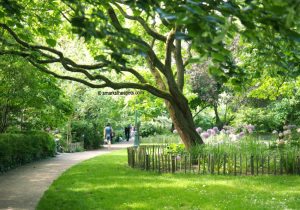 Tenbosch Park
