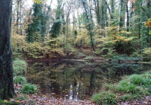 Herstal Belgium Park