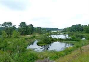 Flanders Belgium Nature Reserve