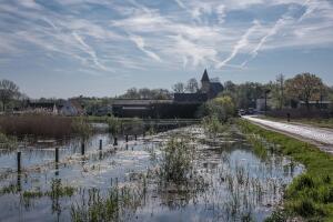 Flanders Belgium Nature Reserve