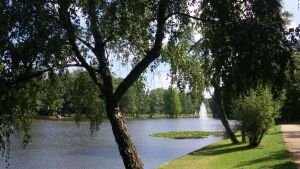 Molenvijver Park
