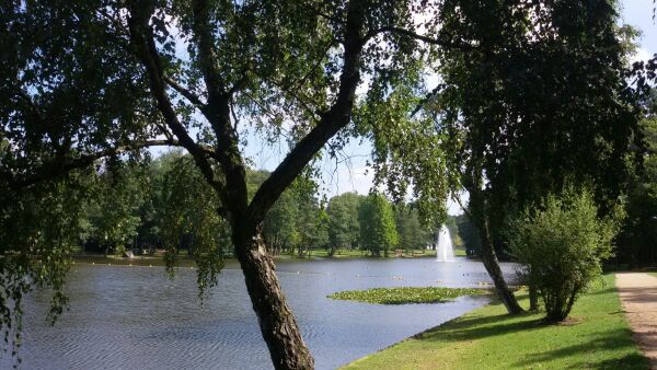 Molenvijver Park