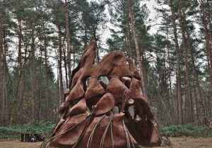Zonhoverheide Forest