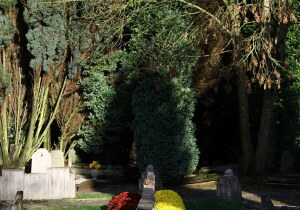 Ganshoren Cemetery