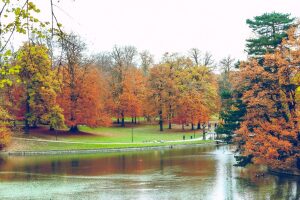 Bois de la Cambre