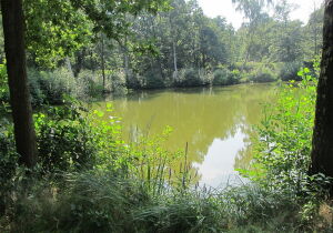 Flanders Belgium Nature Reserve