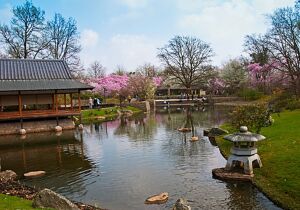 Diepenbeek Belgium Garden