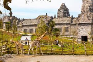 Parc Pairi Daiza