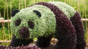 Pairi Daiza