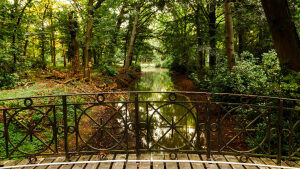 Peerdsbos Park