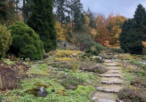 Huizingen Park