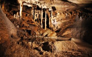Caves of Han-sur-Lesse