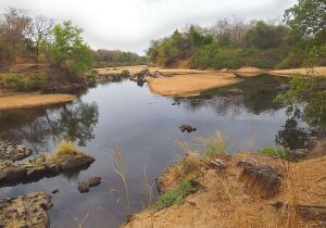 Sapouy Burkina Faso Nature reserve