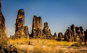 Leo Burkina Faso National Park