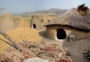 Leo Burkina Faso Museum