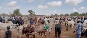 Djibo Burkina Faso Natural Attraction