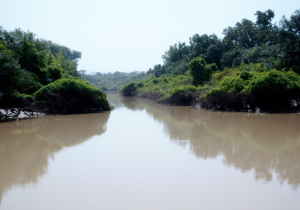 Diapaga Burkina Faso National Park