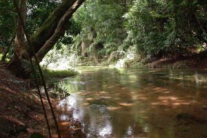 Dedougou Burkina Faso Nature reserve