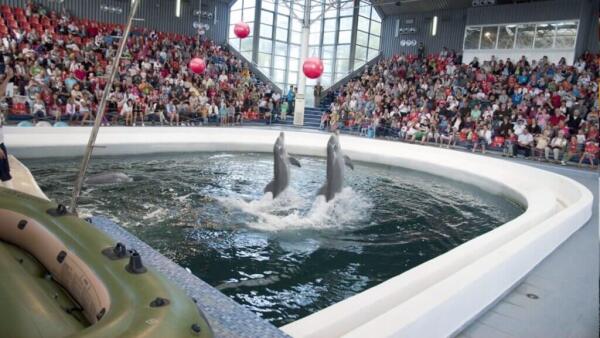 Dolphinarium Varna