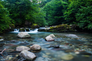 Troyan Bulgaria Natural Landmark
