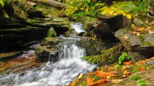 Bulgaria Nature Park
