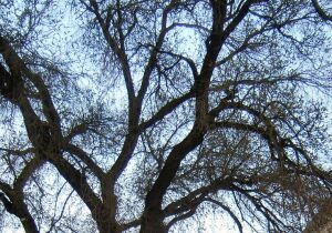 Sliven Bulgaria Landmark