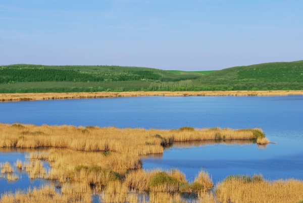 Srebarna Nature Reserve