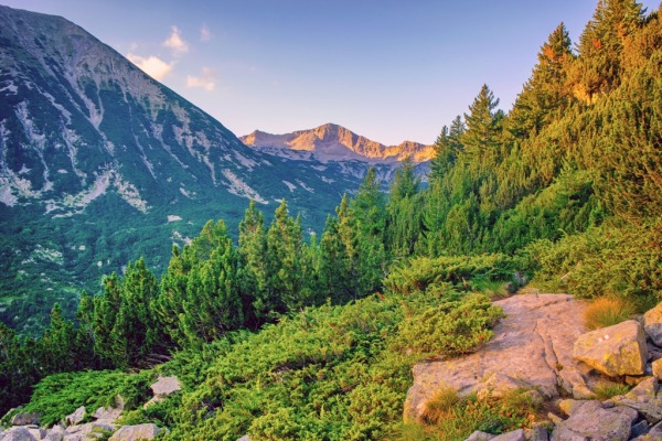 Pirin National Park
