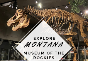 Montana Bulgaria Museum