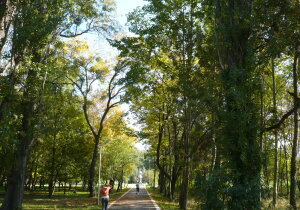 Asparuhovo Bulgaria Park