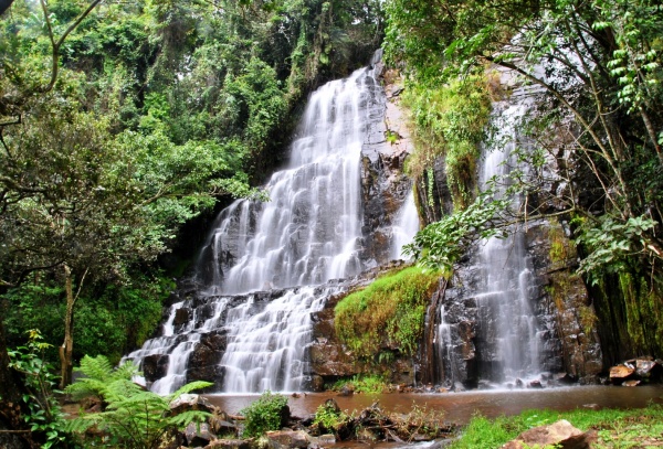 Kibira National Park