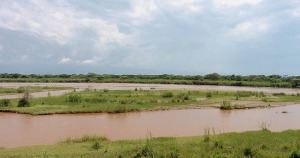 Rusizi Nature Reserve