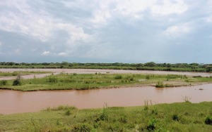 Rutana Burundi Nature reserve