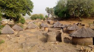 Taneka Village