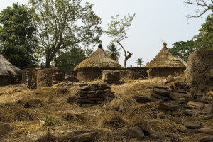 Taneka Village
