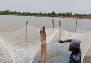 Benin River
