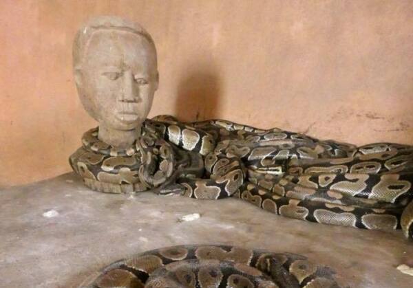 Temple des Pythons