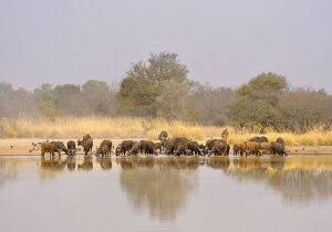 Djougou Benin National Park