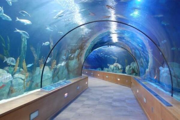 Bermuda Aquarium
